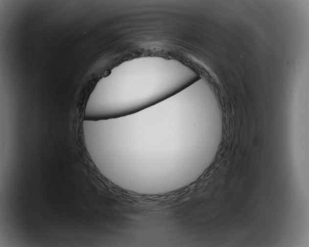 X0000087540968200705251716