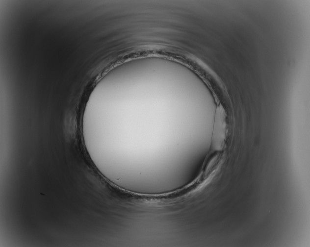 X0000087540969200705251716