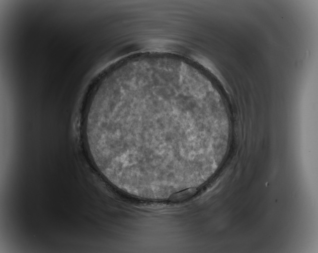 X0000087540971200705251716