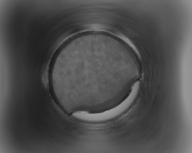 X0000087540972200705251716