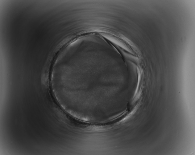 X0000087540977200705251716