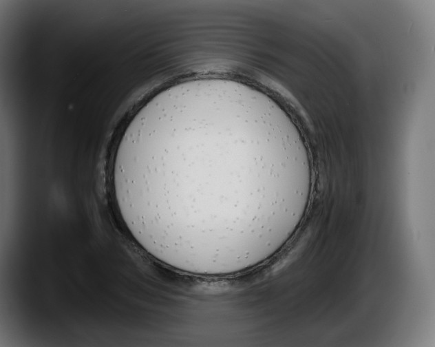 X0000087540978200705251716