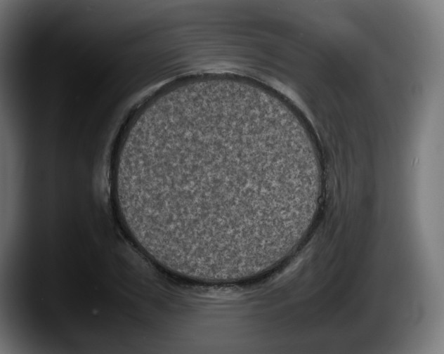 X0000087540979200705251716