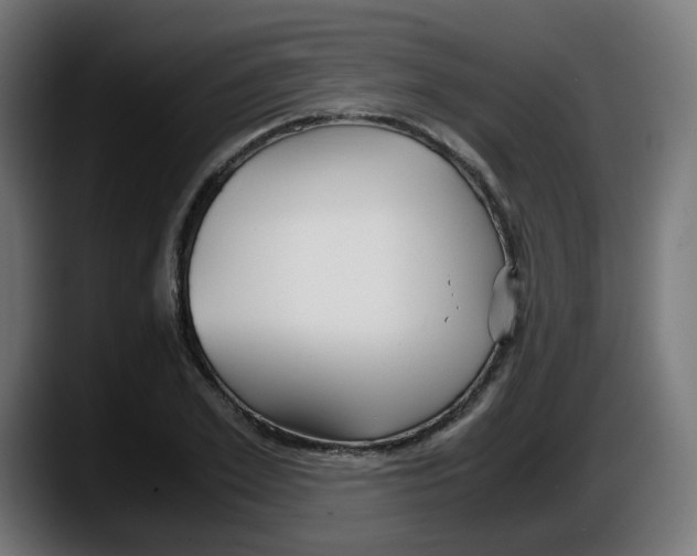 X0000087540981200705251716