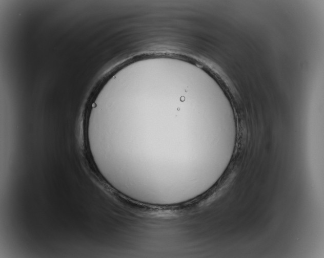 X0000087540982200705251716