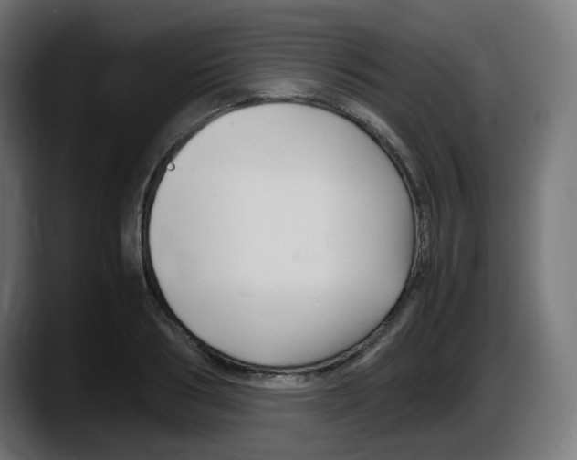 X0000087540986200705251716