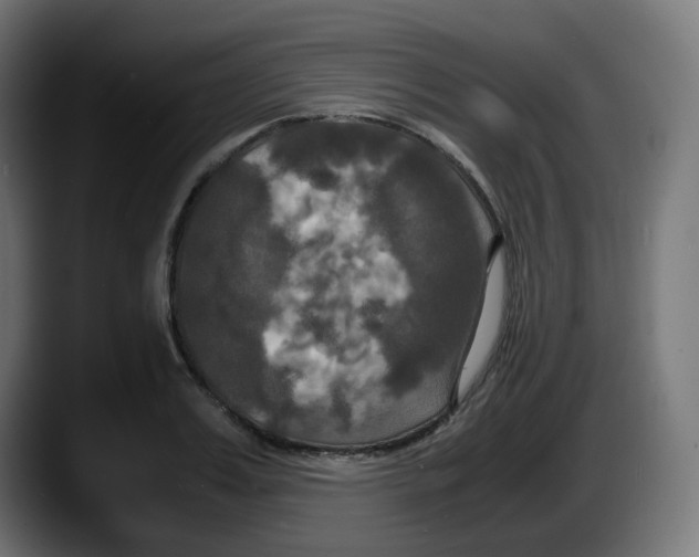 X0000087540987200705251716