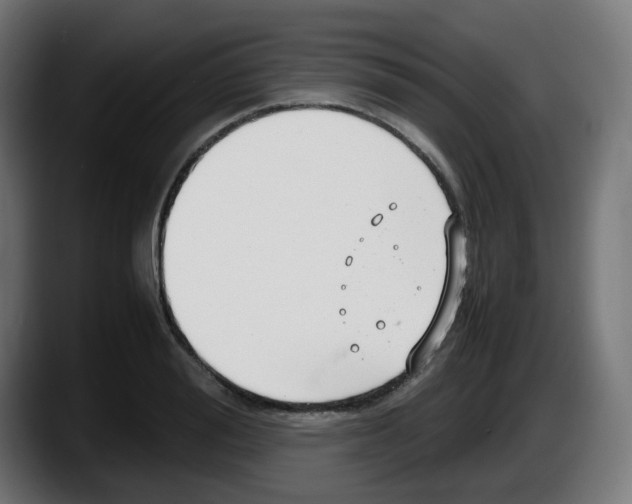 X0000087540988200705251716