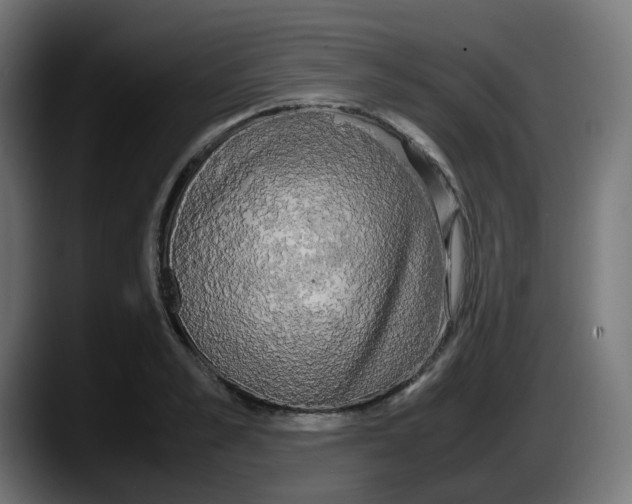 X0000087540989200705251716