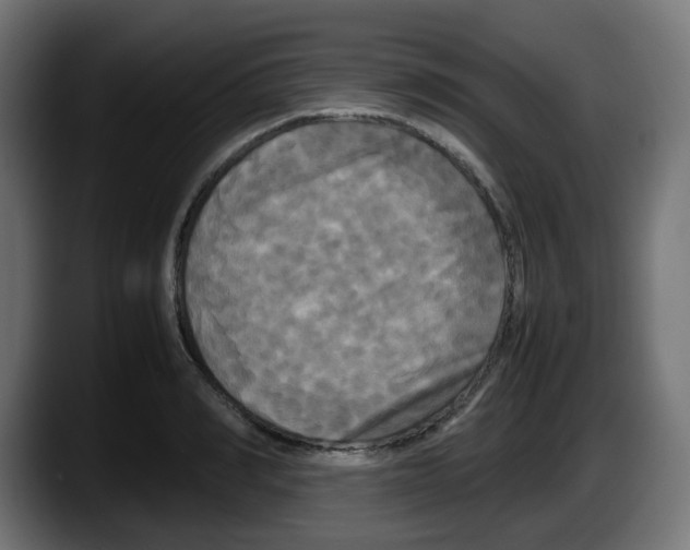 X0000087540990200705251716