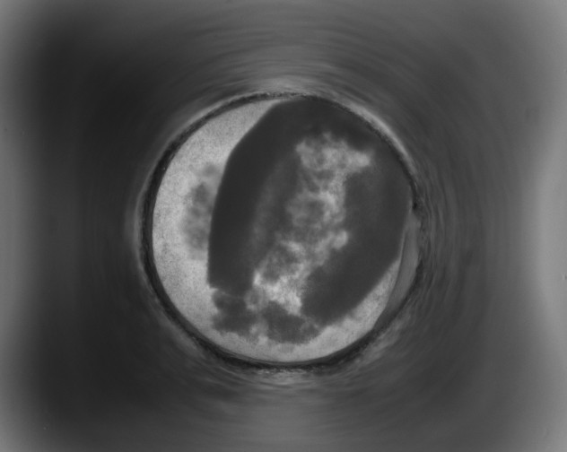 X0000087540991200705251716