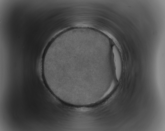 X0000087540992200705251716