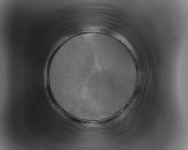 X0000087540994200705251716