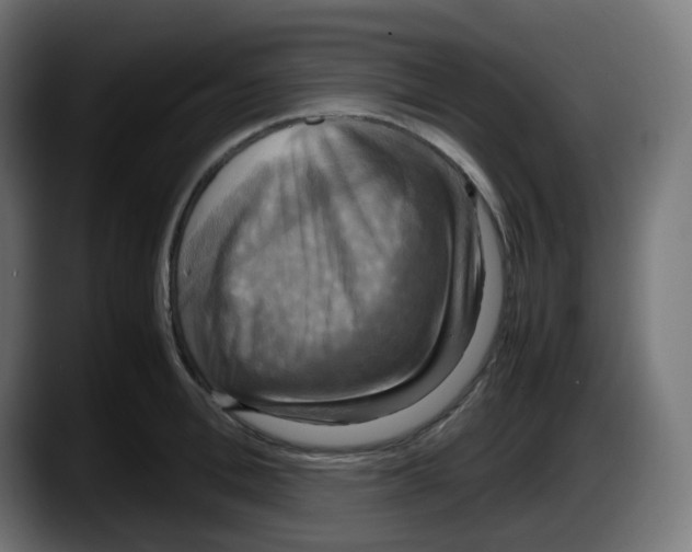 X0000087540996200705251716