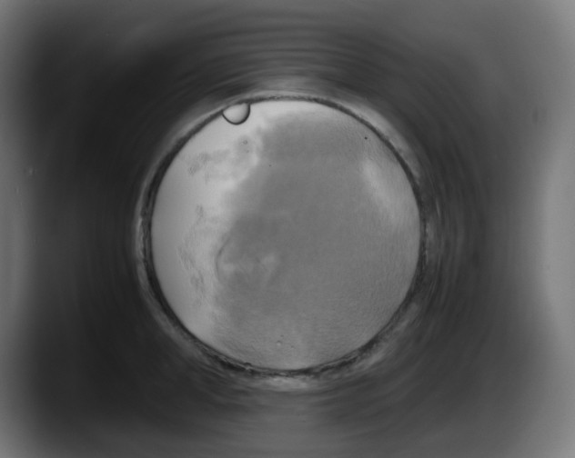 X0000087540998200705251716