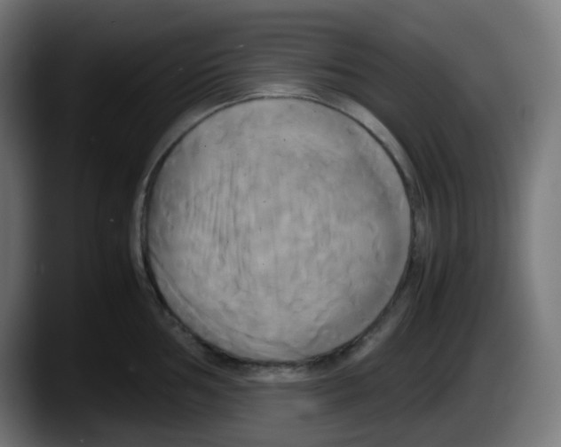 X0000087541002200705251716