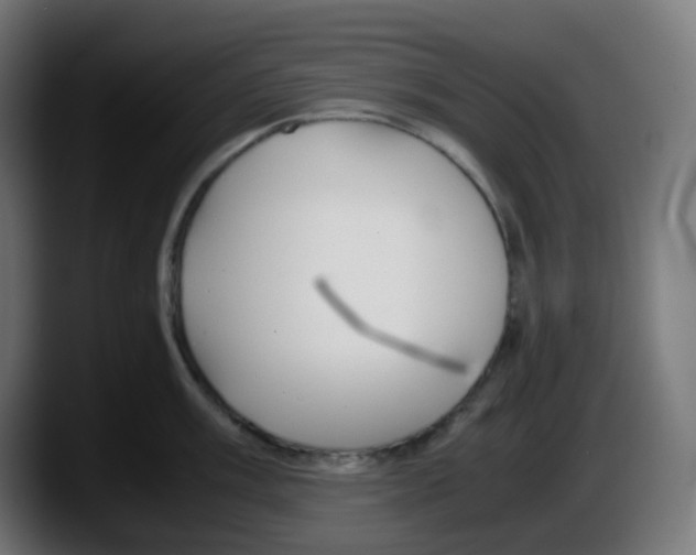 X0000087541003200705251716