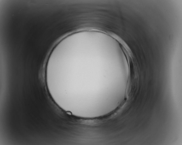 X0000087541004200705251716