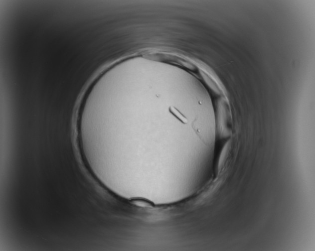 X0000087541005200705251716