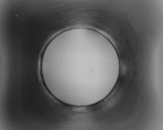 X0000087541006200705251716