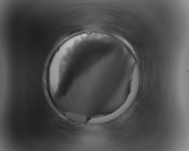 X0000087541007200705251716