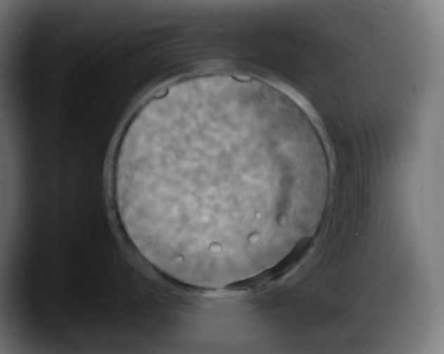 X0000087541008200705251716