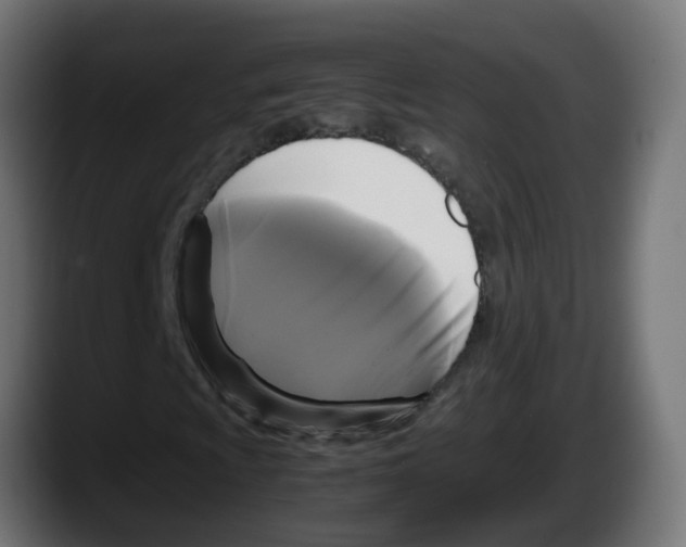 X0000087541009200705251715