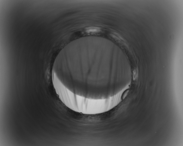 X0000087541011200705251715