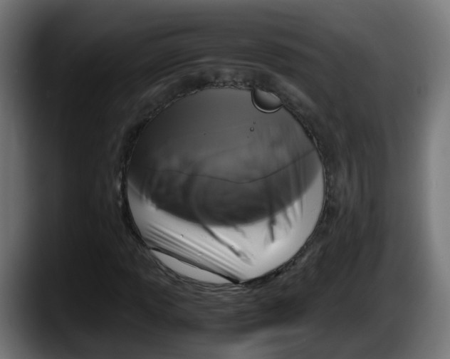 X0000087541013200705251715