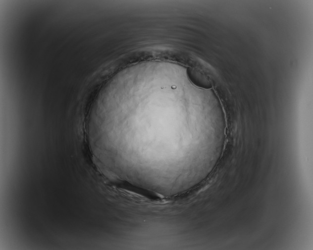 X0000087541014200705251715