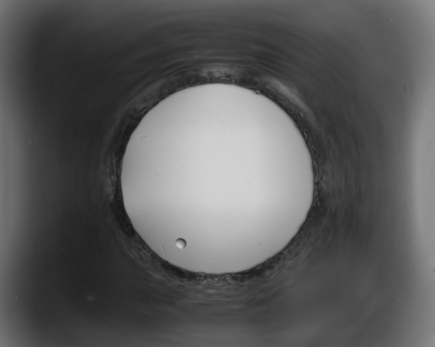 X0000087541015200705251715