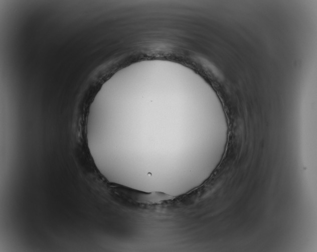 X0000087541016200705251715