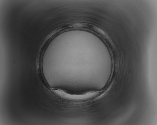 X0000087541017200705251715