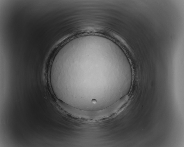 X0000087541018200705251715