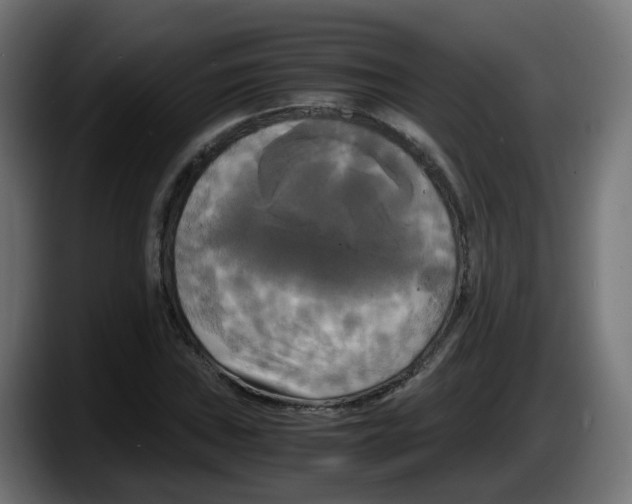 X0000087541019200705251715