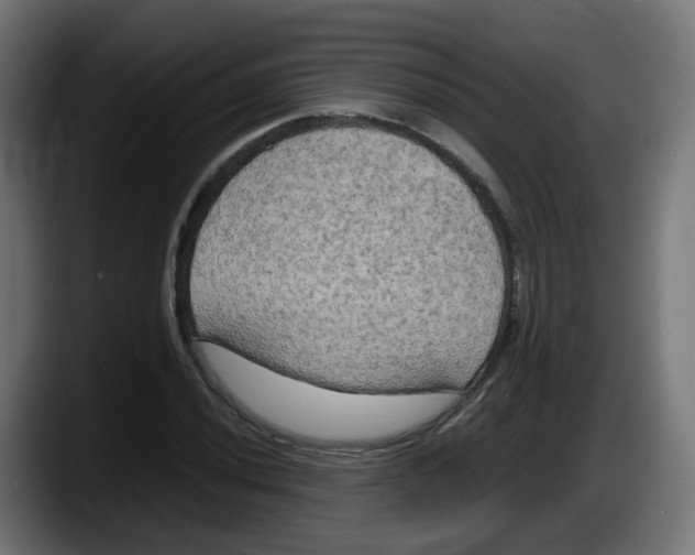 X0000087541020200705251715