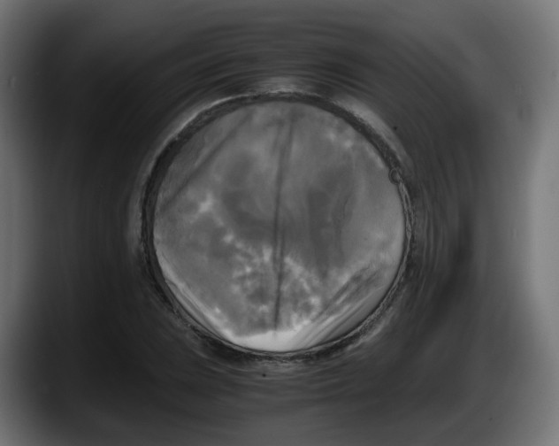 X0000087541023200705251716