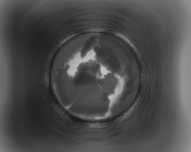 X0000087541025200705251716