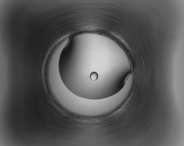 X0000087541026200705251716