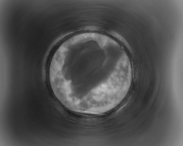 X0000087541027200705251716