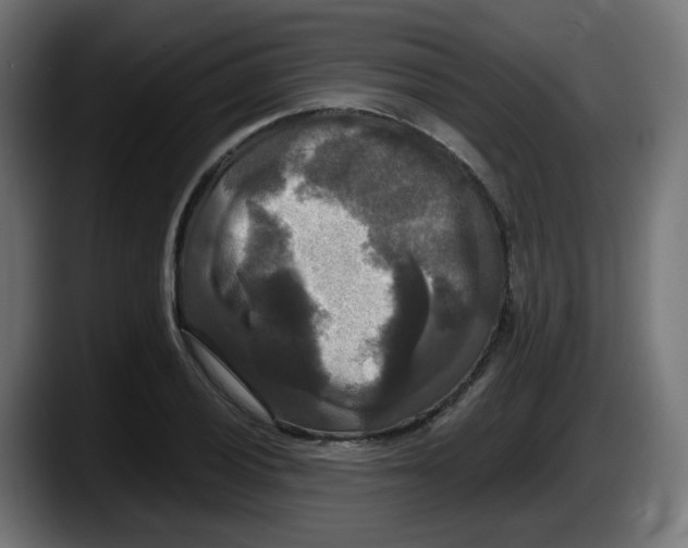 X0000087541028200705251716