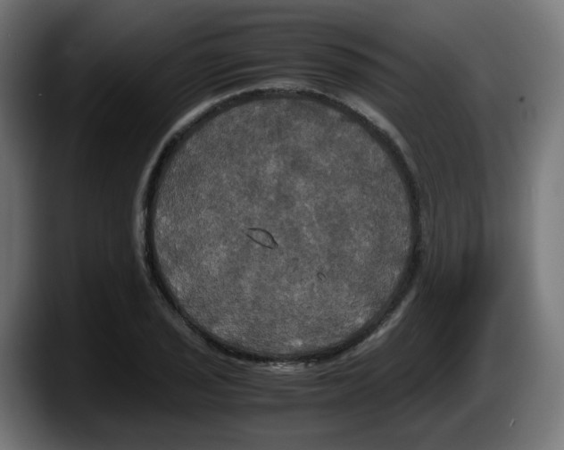 X0000087541029200705251716