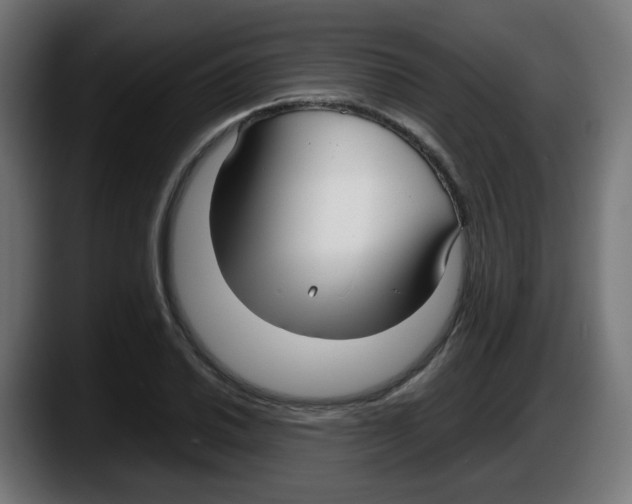 X0000087541030200705251716