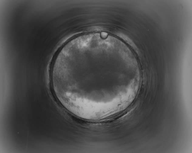 X0000087541031200705251716