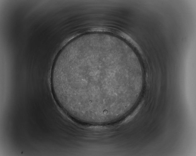 X0000087541033200705251716