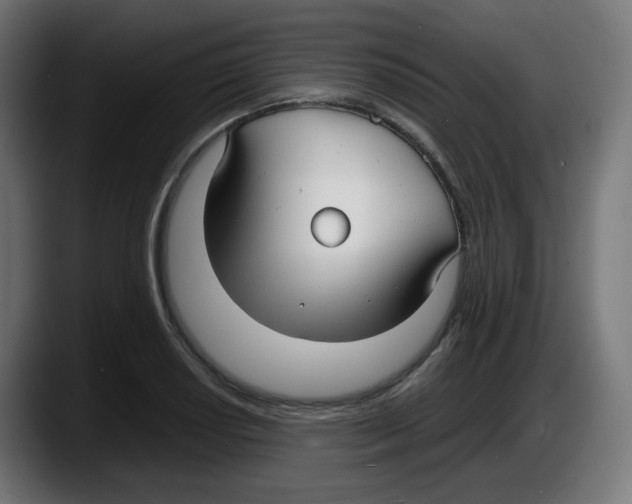 X0000087541034200705251716