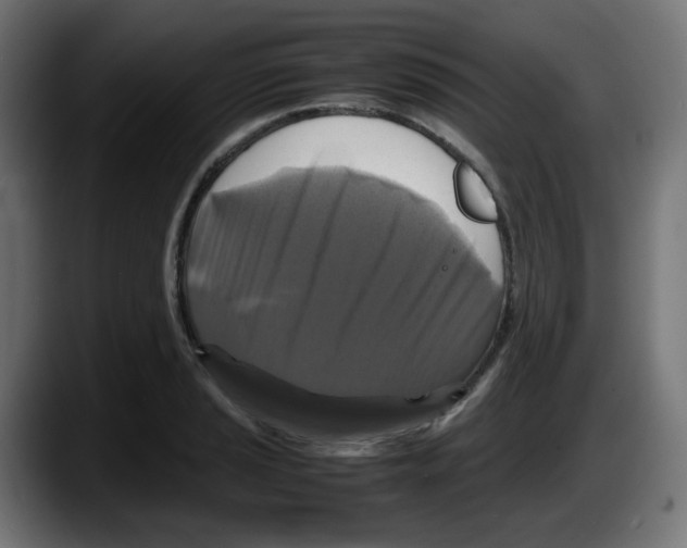 X0000087541037200705251716