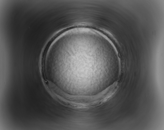 X0000087541038200705251716