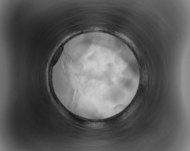 X0000087541039200705251716