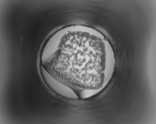 X0000087541040200705251716